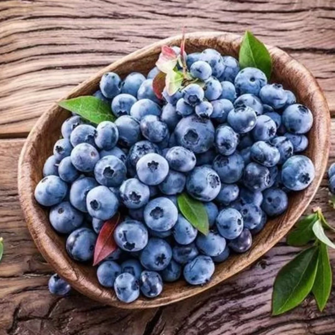 云南高山花香蓝莓产地现摘现发全国空运