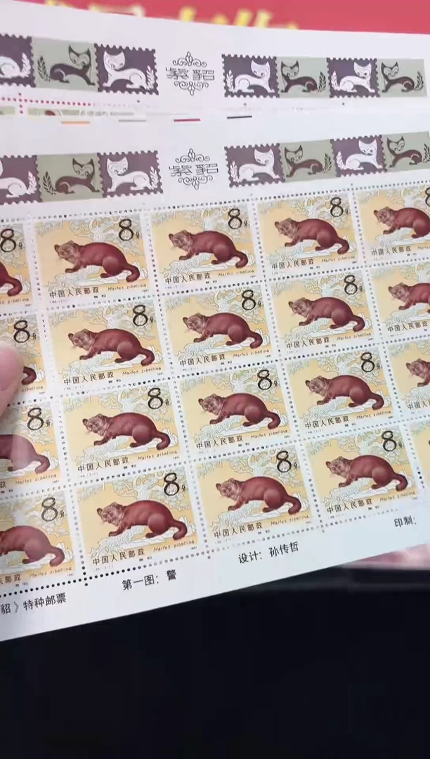 《紫貂》大版 CSGS评级 邮票