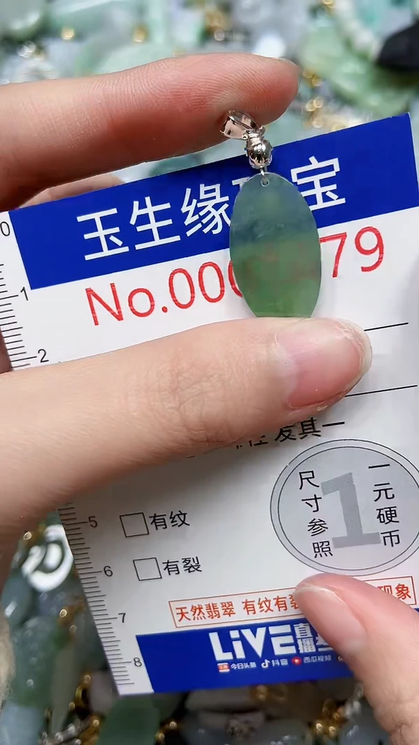 【闪购商品】翡翠颈饰未镶嵌闪购00001479