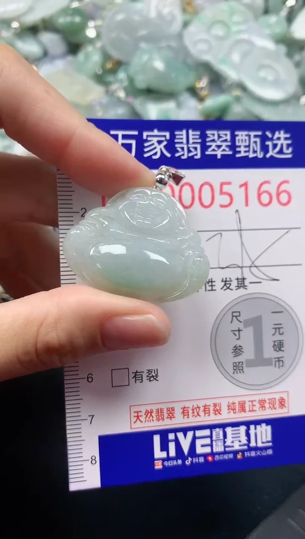 吊坠(不含链)未镶嵌翡翠5166