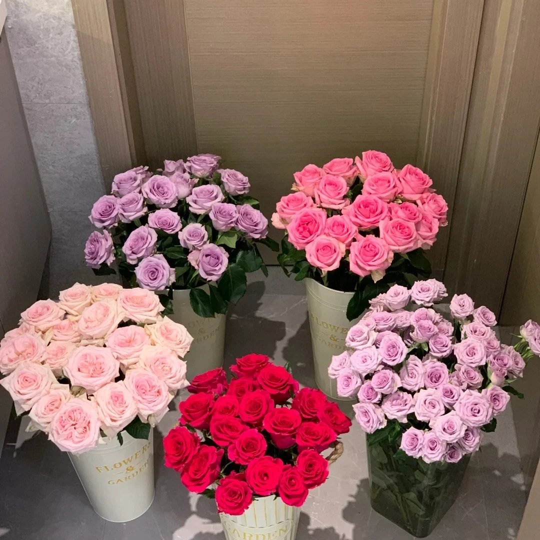 鲜花   多头3扎3品6只防损  任意两单包邮