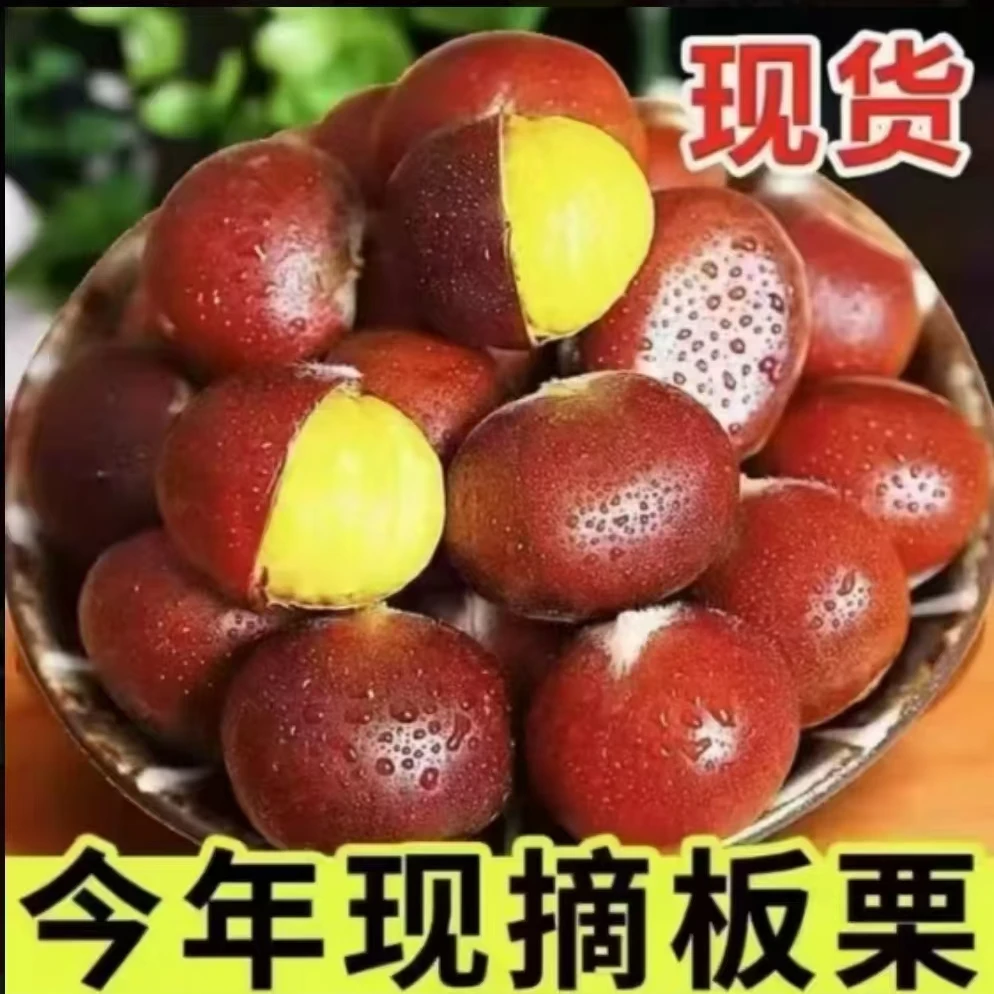 【新鲜老树板栗】新鲜现摘高山板栗清脆甘甜软糯可口好剥皮