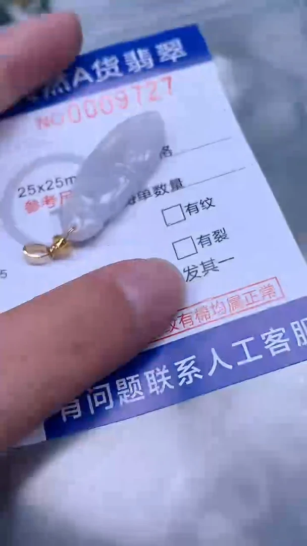 翡翠未镶嵌吊坠(不含链)1