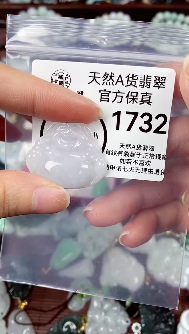 【闪购商品】翡翠颈饰未镶嵌天然A货翡翠1732