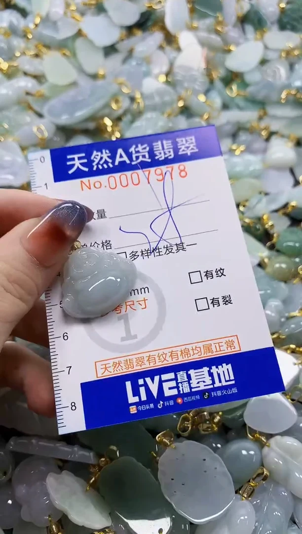 颈饰未镶嵌翡翠天然A货翡翠