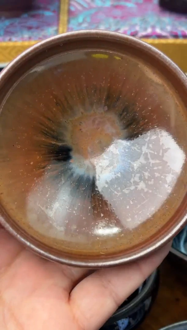茶盏春申阁福利1只普洱杯