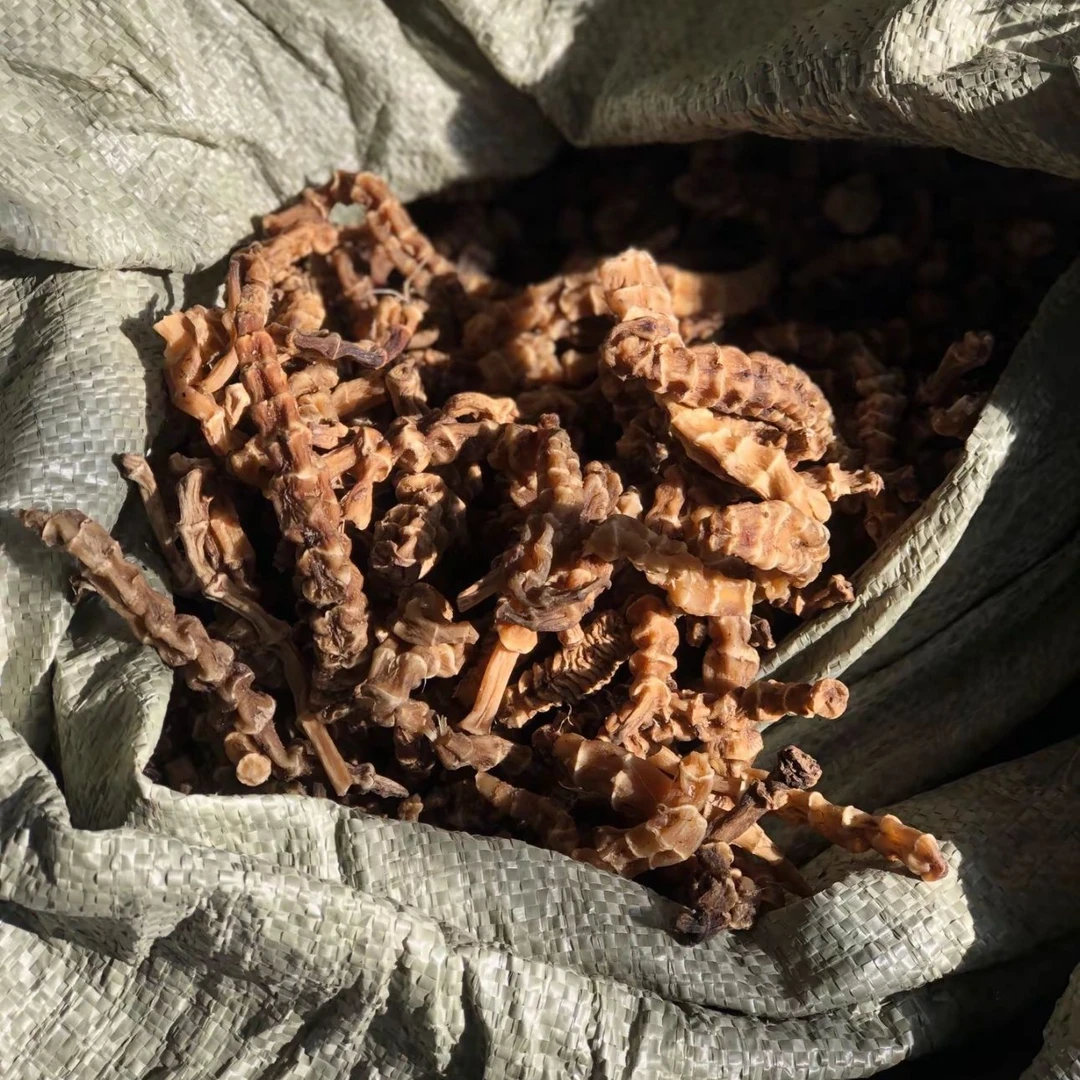 张正带你逛中原早市【地参】