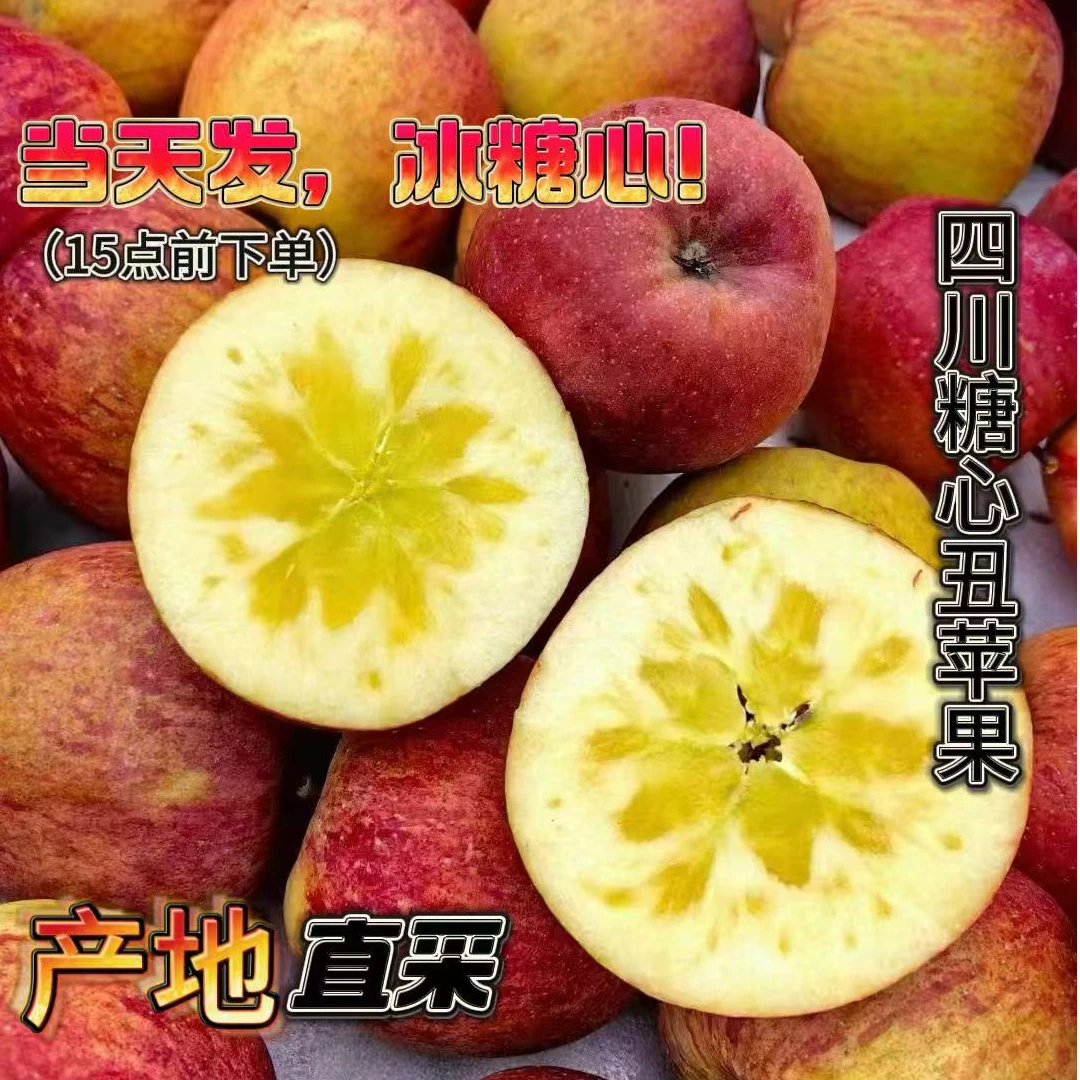 四川当季高山头茬红富士糖心丑苹果脆甜多汁孕妇新鲜水果产地直发