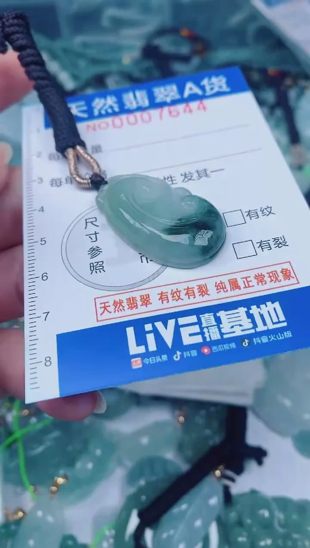 颈饰未镶嵌翡翠00007644