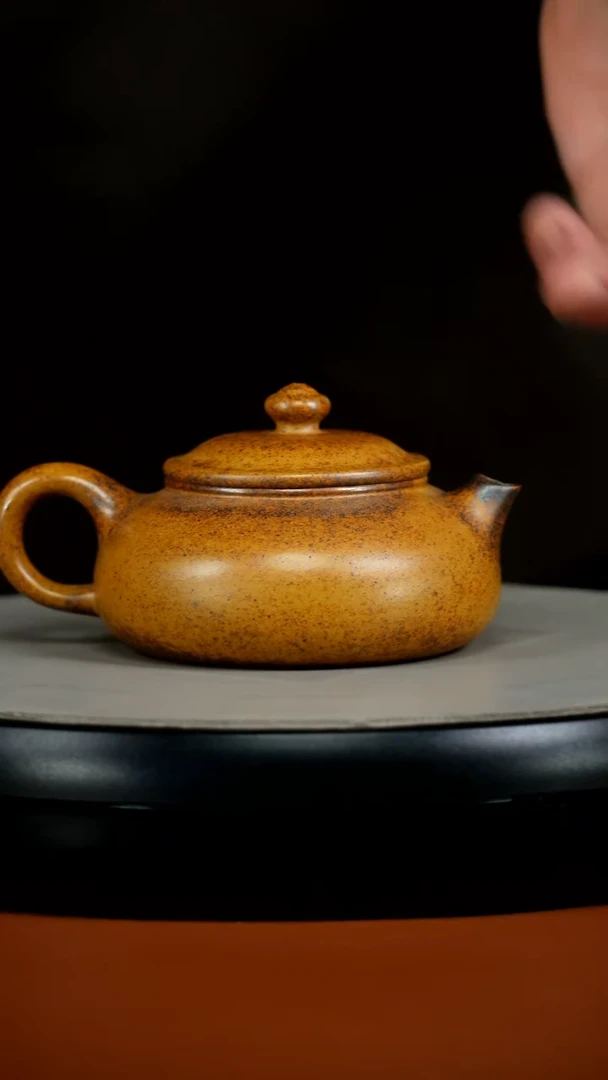 茶壶紫砂李传荣龙骨金砂柴烧光素寒江160CC