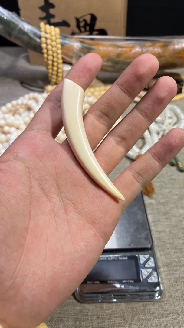 手串/手链/手镯猛犸象牙Y760 纯肉牙尖