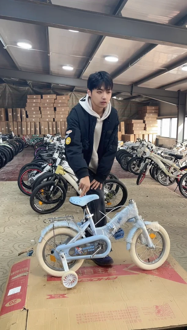 14寸-单速-蓝-座【默认微瑕，不退不换，介意勿拍】