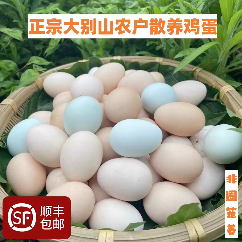正宗大别山安庆宿松农村农户散养土鸡蛋无抗无激素新鲜纯五谷喂养