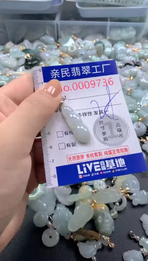 颈饰未镶嵌翡翠9736
