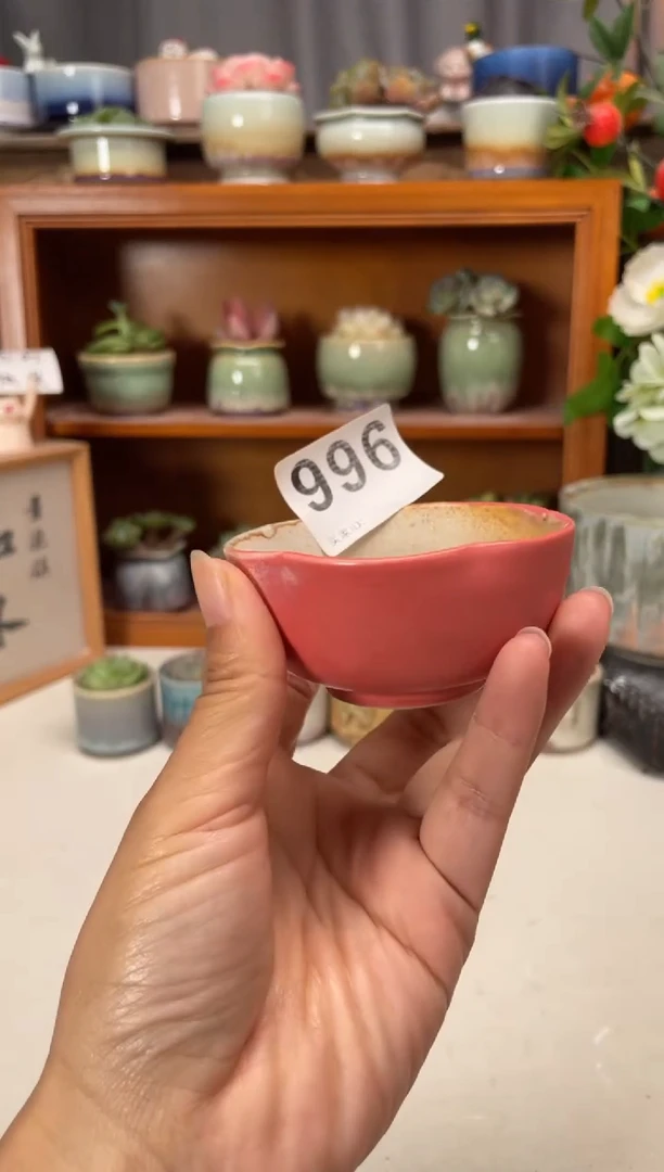 瓷片996知木小芳花盆