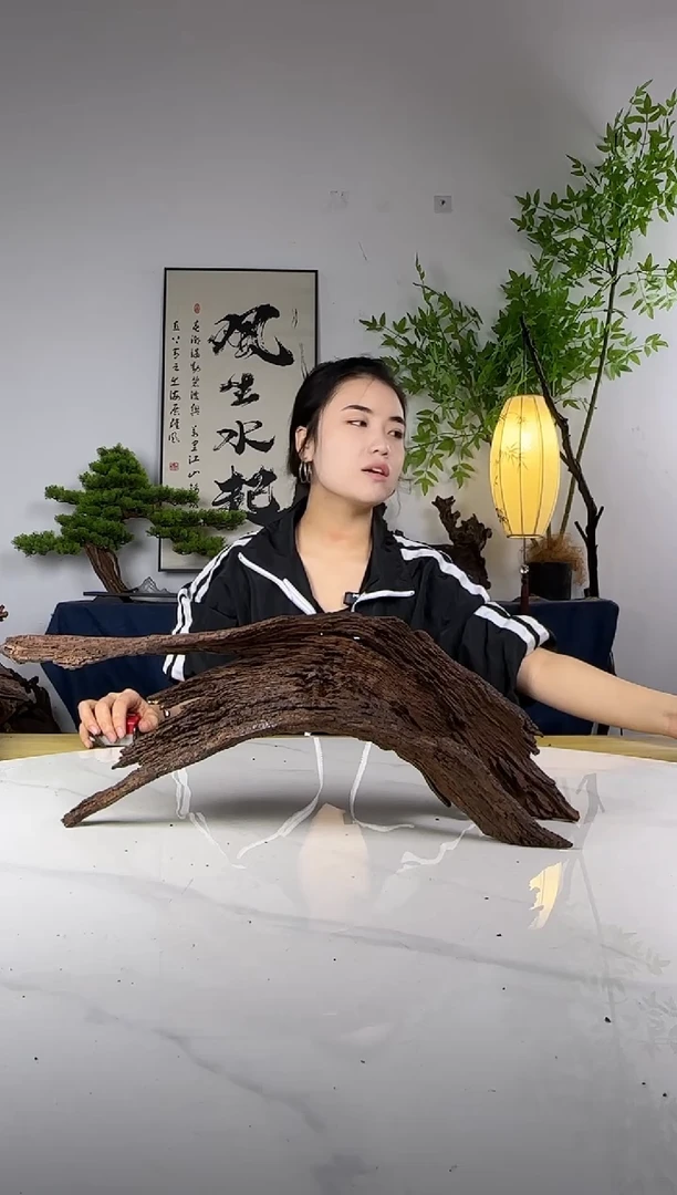 密**杨拍这个定向编号47