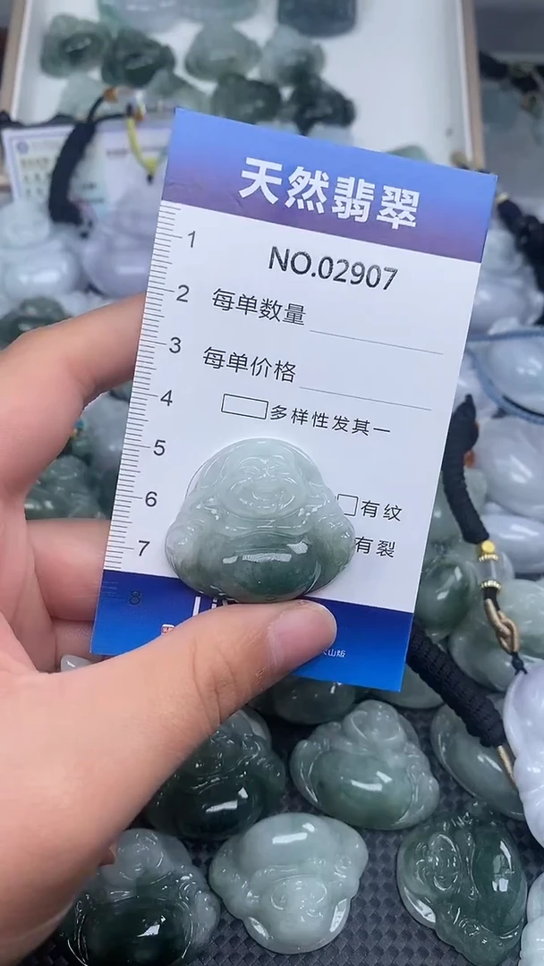 颈饰未镶嵌翡翠纯天然A货翡翠2907