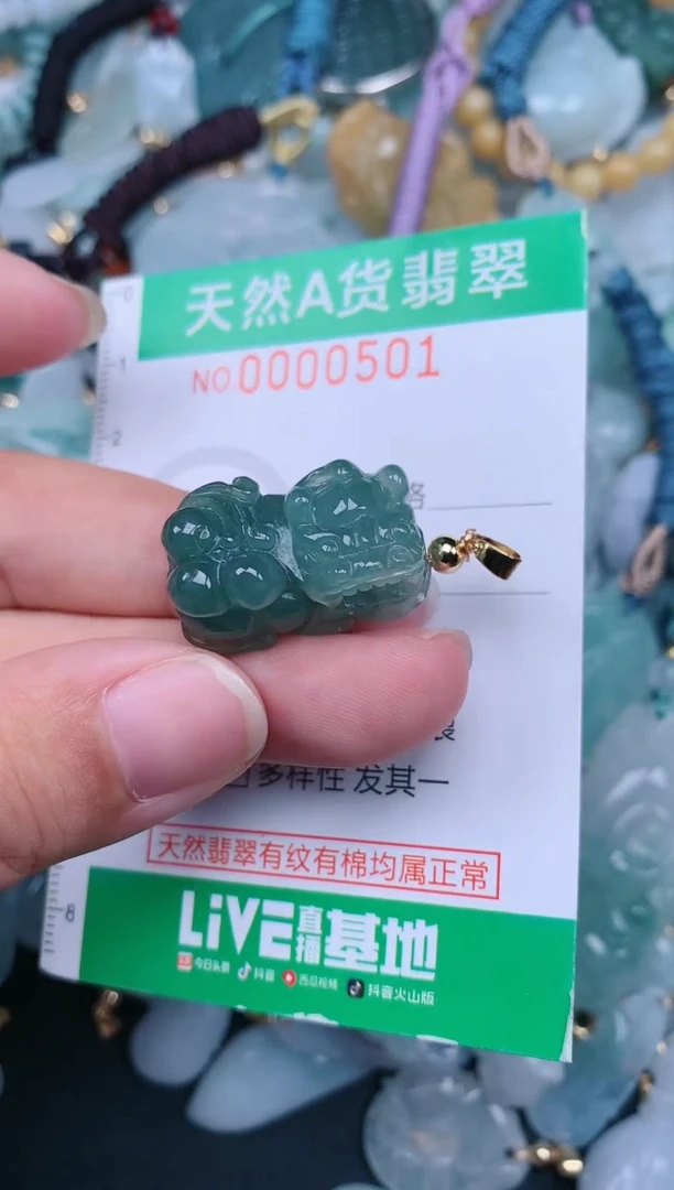 翡翠未镶嵌颈饰.0000501