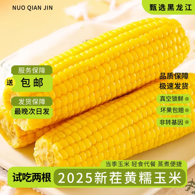 【2025头茬】黑龙江黄糯玉米250g*10真空包装软糯香甜早餐粗粮