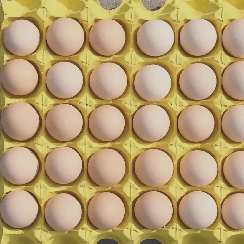 【独立包装】土鸡蛋新鲜农家散养健康柴鸡蛋正宗虫月子早餐优质蛋A