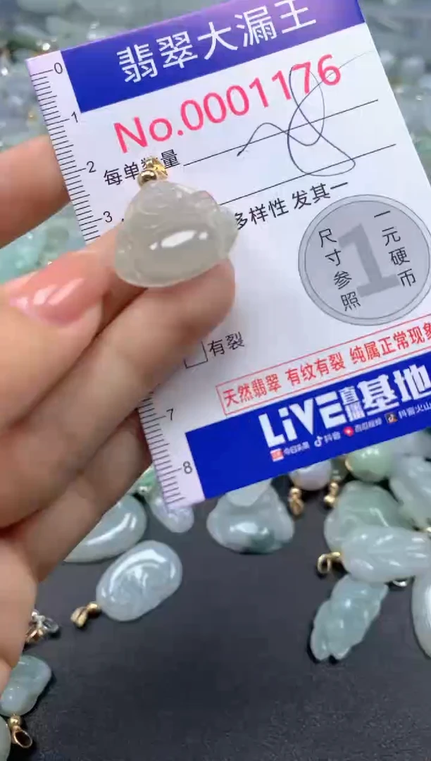 颈饰未镶嵌翡翠1176
