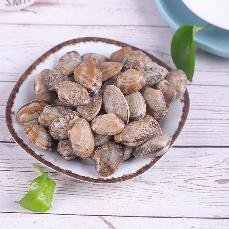 【约500g±20g/份】百意大花蛤(花甲)