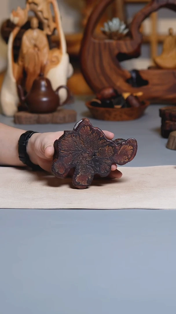 木九龙藤小切片r8181