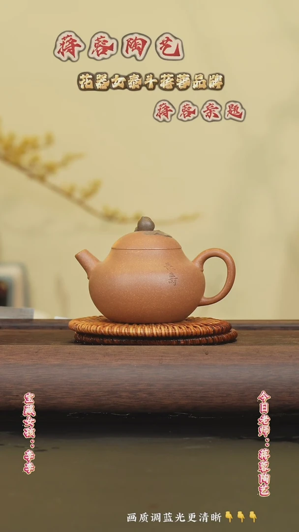 茶壶紫砂蒋蓉老师 老段泥  250cc