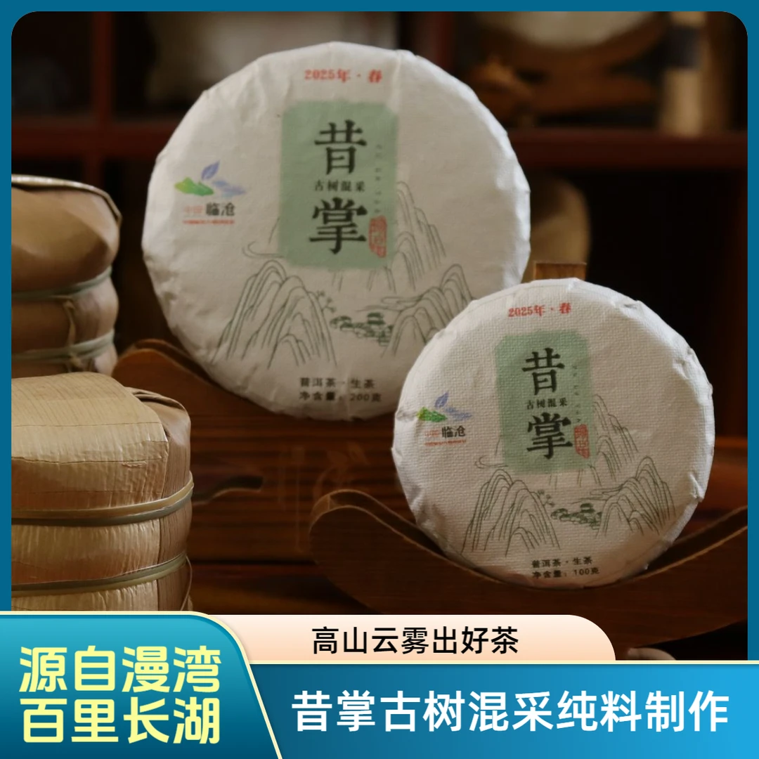 漫湾-昔掌古树混采饼茶-头春头采 茶韵十足