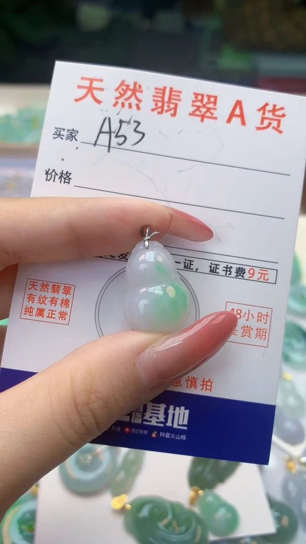 颈饰未镶嵌翡翠天然A货翡翠挂件