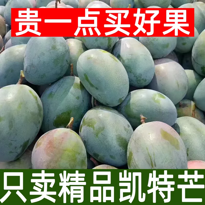 【密封放软食用】四川攀枝花凯特水果芒果核薄肉厚爆甜多汁新鲜现摘