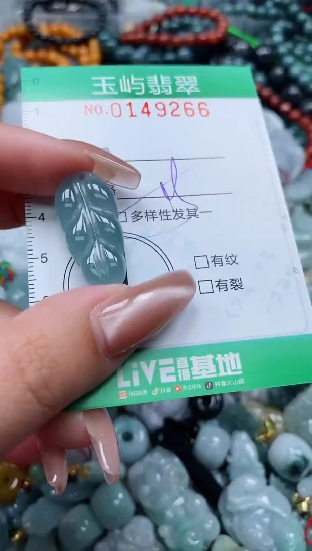 翡翠未镶嵌颈饰闪购0149266多样性发其一