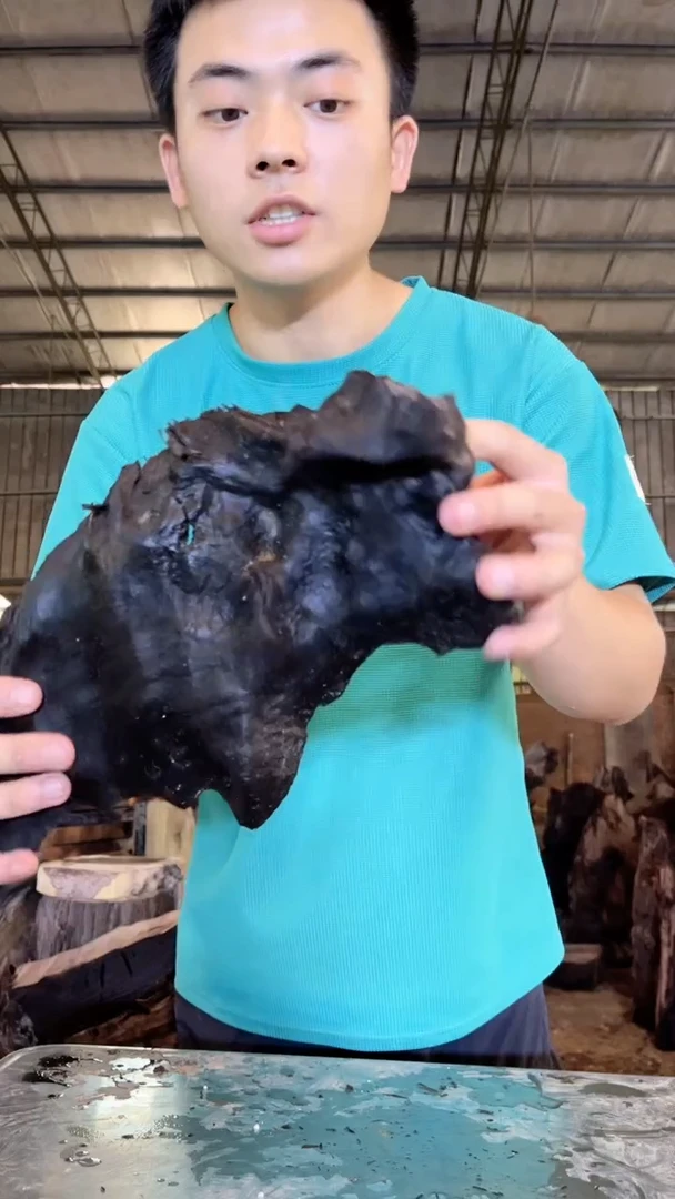 金丝楠金丝楠小叶桢楠5