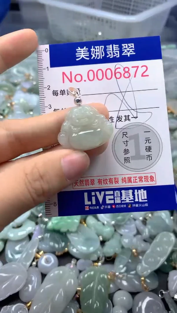 颈饰未镶嵌翡翠6872