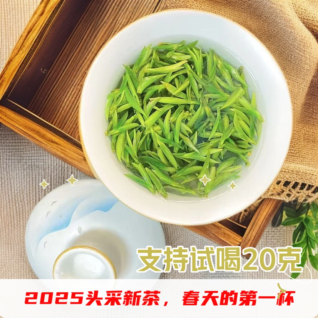 【2025头采新茶】毛峰 头采小芽 高山茶园 鲜爽兰香 明前绿茶SY408