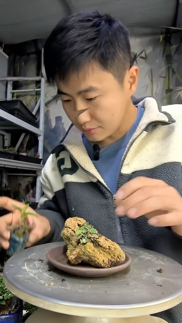 晴**岛中青园艺一物一拍花128