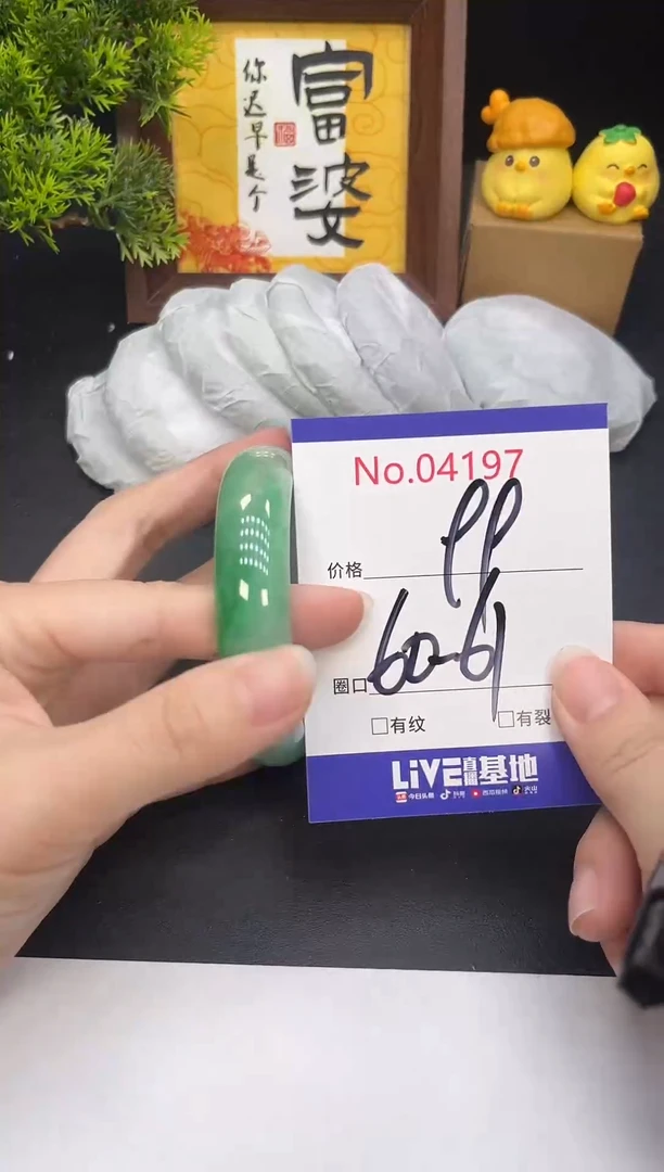 未镶嵌手镯翡翠4197