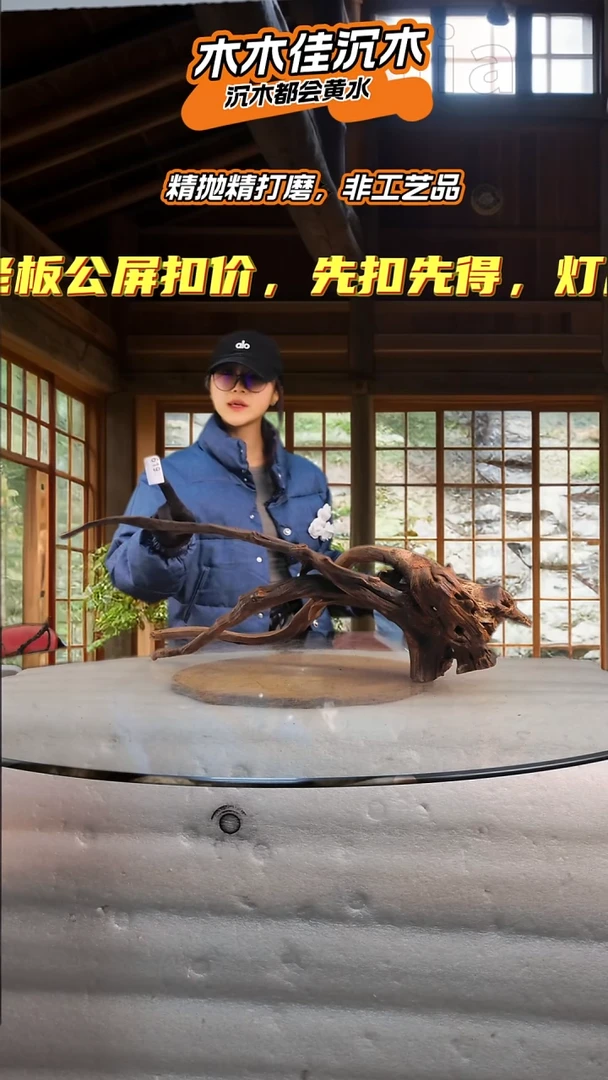 M**R木木佳沉木鱼缸造景619