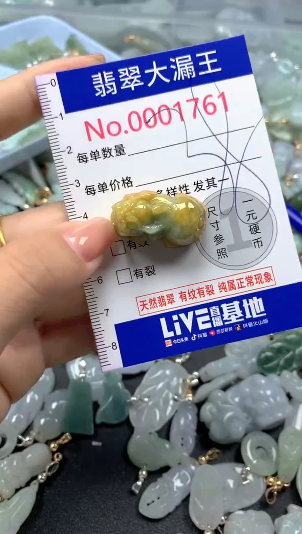颈饰未镶嵌翡翠1761