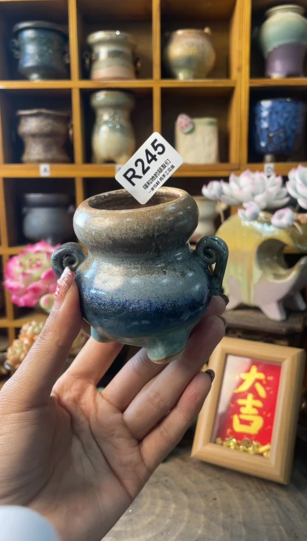 245内口4【多肉花盆多肉盆】