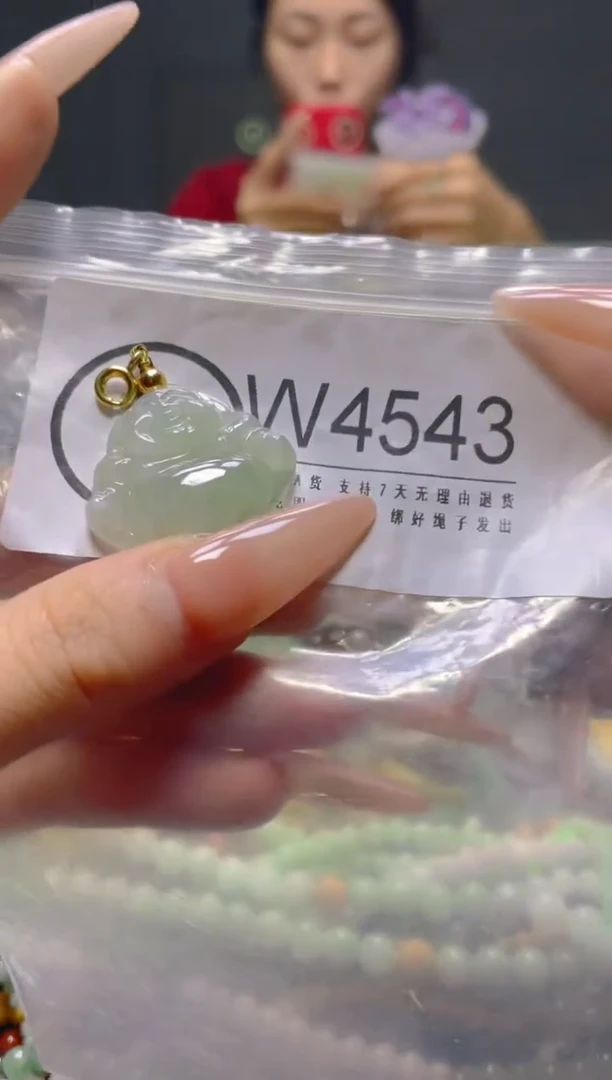 颈饰未镶嵌翡翠/W/翡翠A货，一件也是批发价
