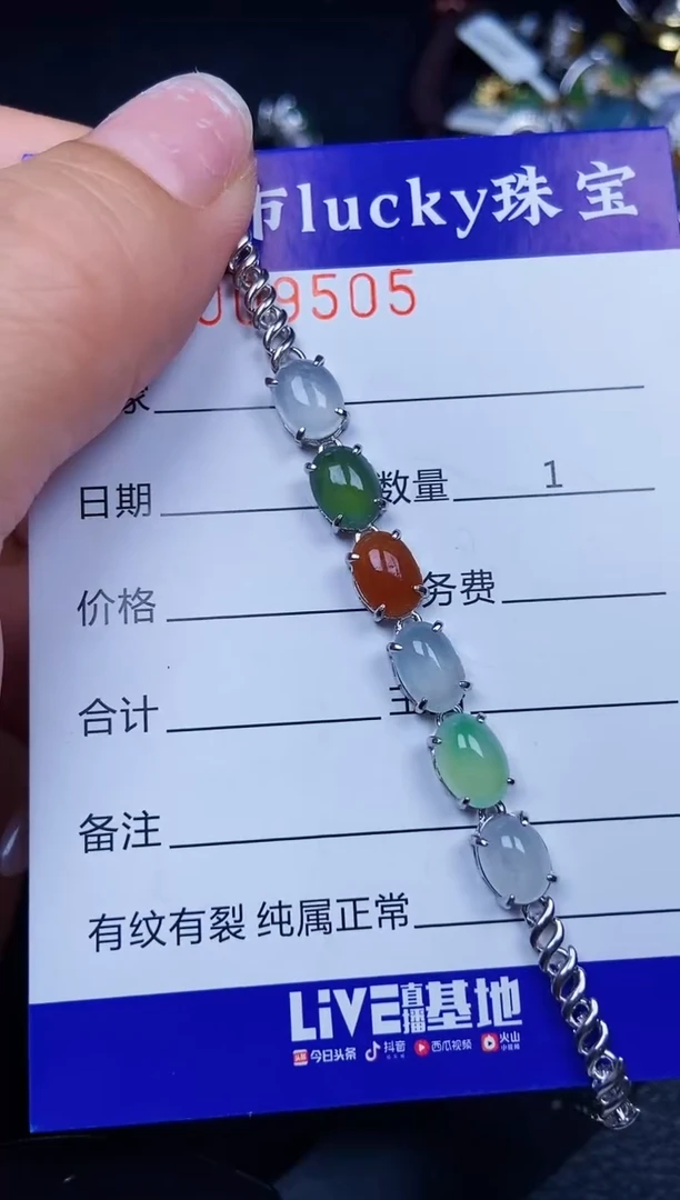 翡翠银S925镶嵌颈饰9505