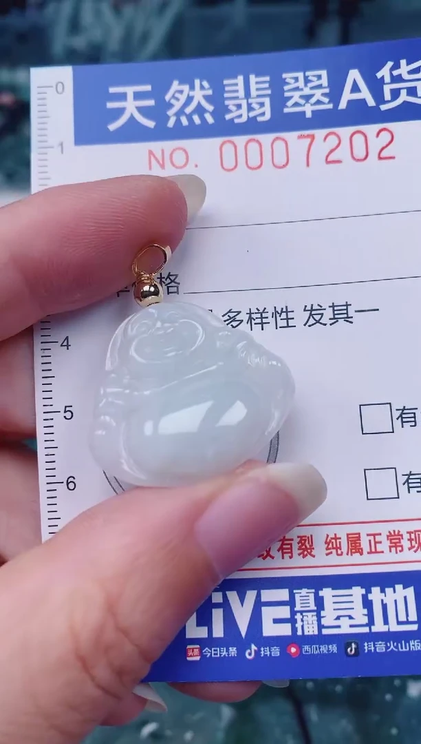 颈饰未镶嵌翡翠00007202