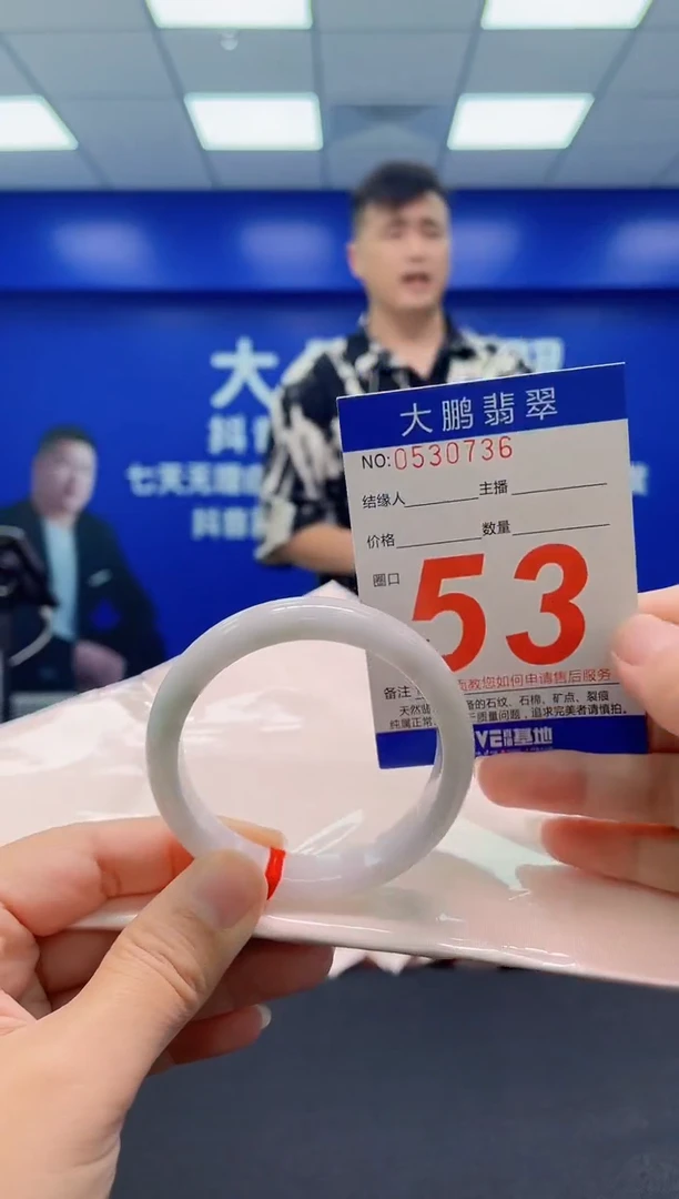 未镶嵌手镯翡翠AAAAAAAAA