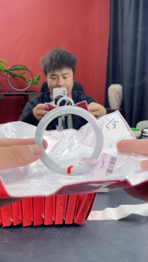未镶嵌手镯翡翠4