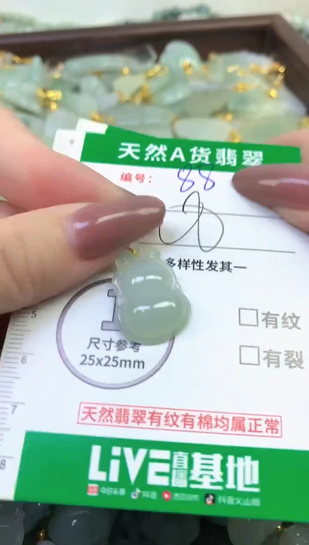 颈饰未镶嵌翡翠纯天然缅甸A货翡翠