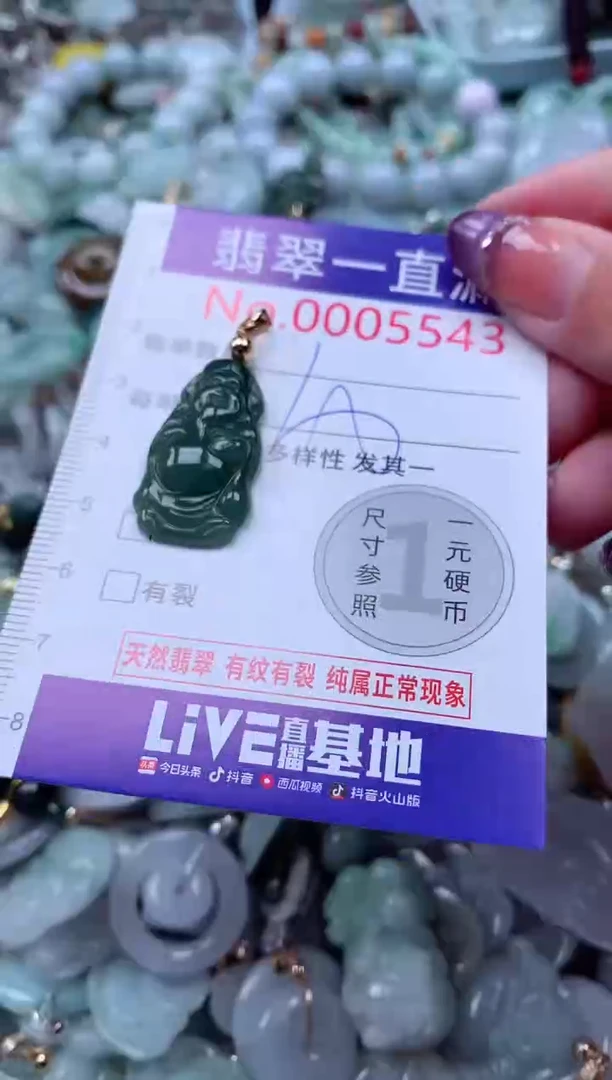 翡翠未镶嵌吊坠(不含链)5543