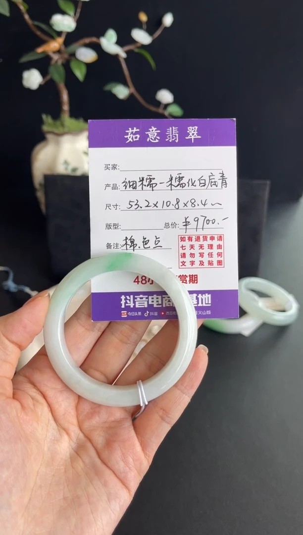 未镶嵌手镯翡翠茹意细糯正圈翡翠手镯