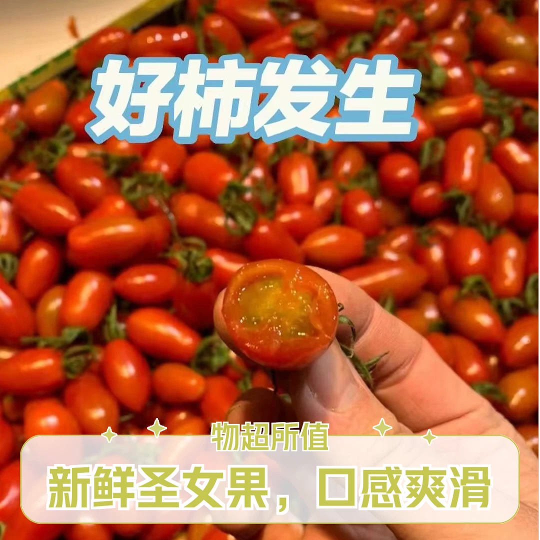【明日达】丹东409花生小柿子草莓小番茄圣女果 即食小西红柿  新鲜采摘 北京市北京市