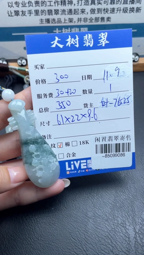 颈饰未镶嵌翡翠多人-85099086